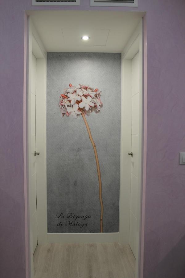 Atico Chill Out La Biznaga Apartment Malaga Exterior photo